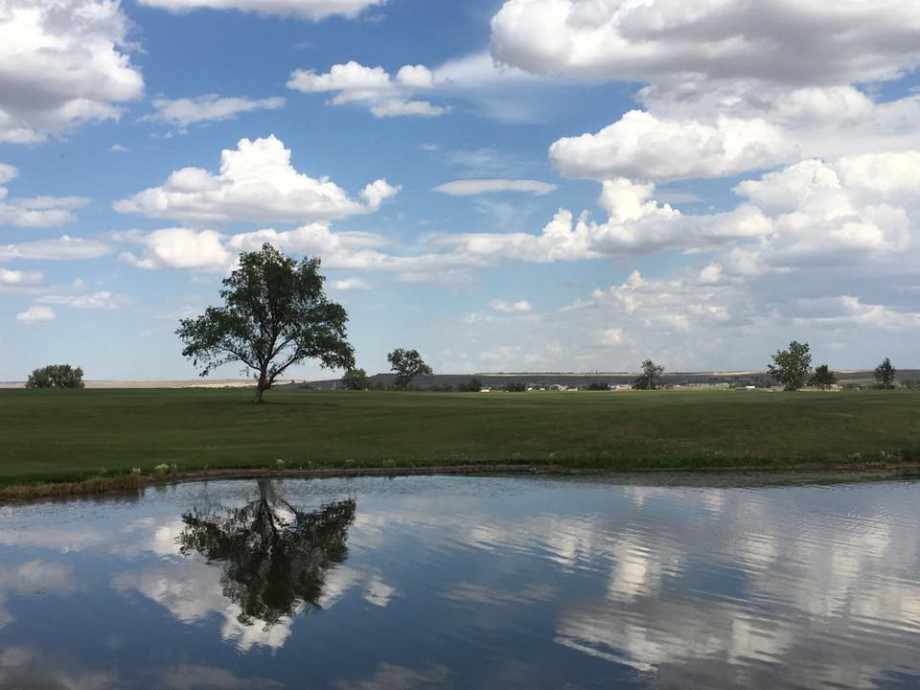 Eagle Ridge Golf Club Williston, ND Public Course Course Information
